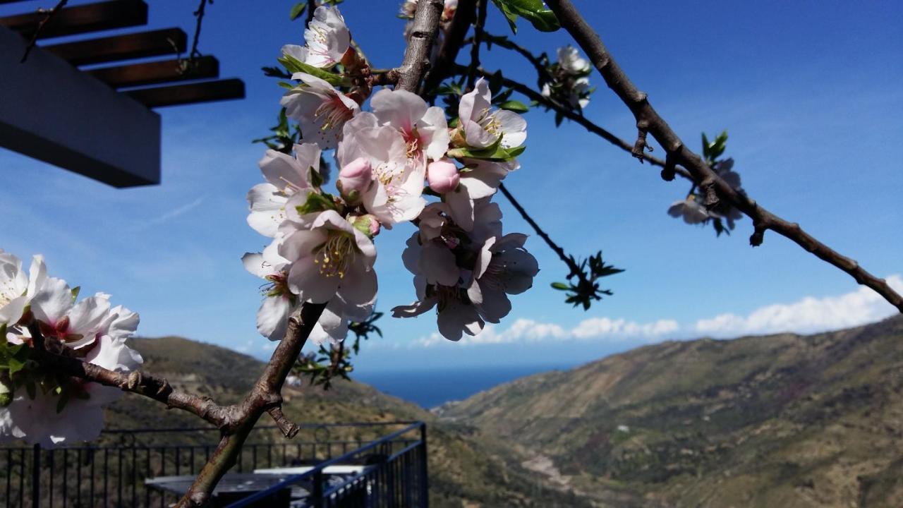 Contrada Carmine Bed & Breakfast Reitano  Exterior foto